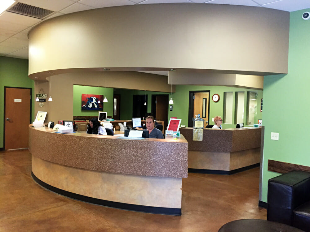 Ocotillo Animal Clinic Interior | Expansion